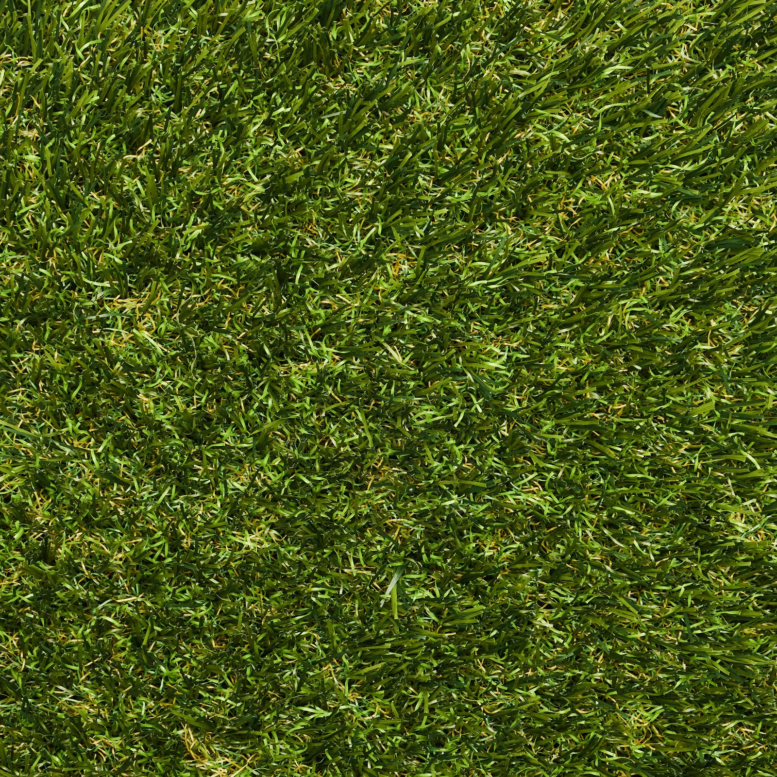 Legend synthetic turf texture