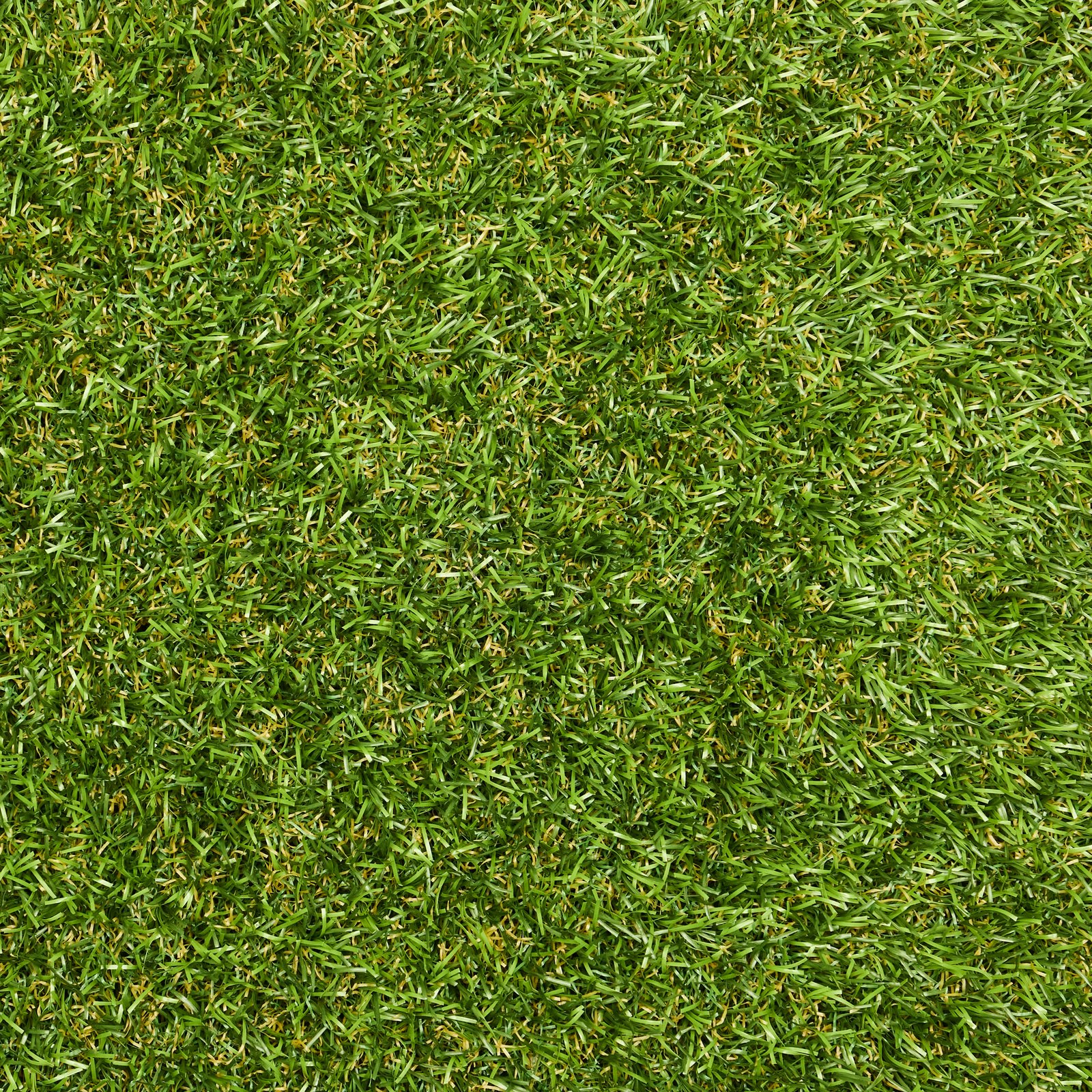 Omni synthetic turf texture
