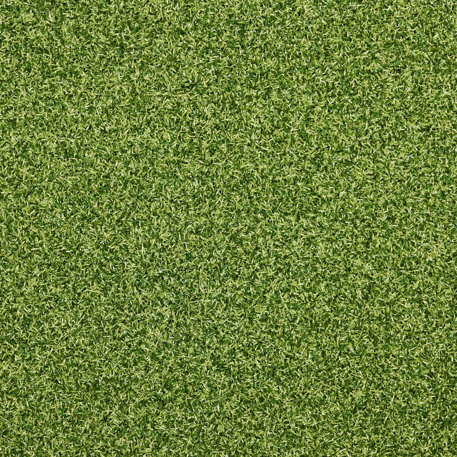 Signature Putt synthetic turf texture
