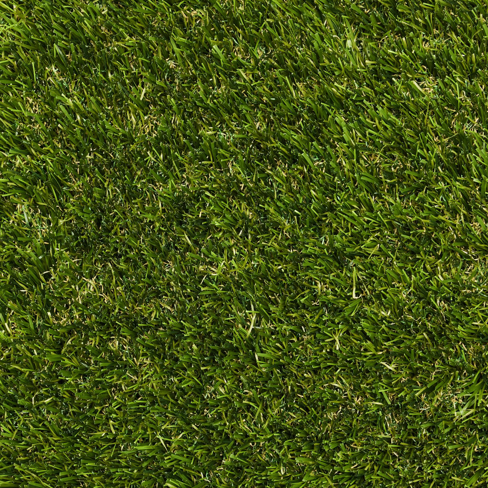 Willow synthetic turf texture